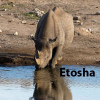 etosha